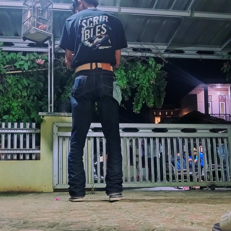 pashaa