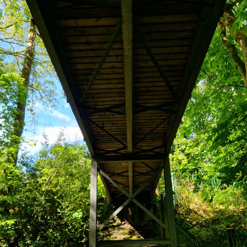 Michael